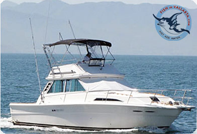 Deluxe - 40' Searay