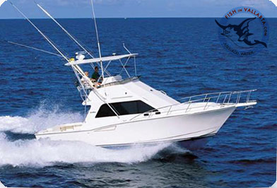 Luxury - 46' Sportfisher