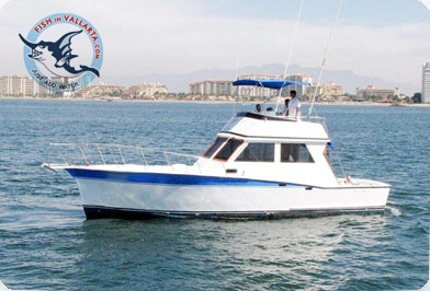 Economy - 38' Custom Sportfisher