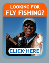 puerto vallarta fly fishing