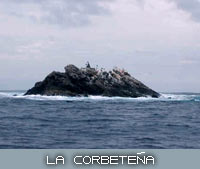 la corbeteña