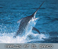 marlin at el banco