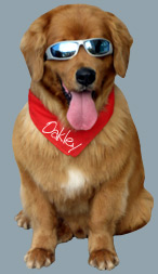Oakley our mascot