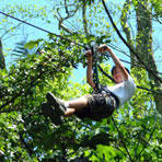 Canopy Tours