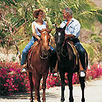 Horseback Riding